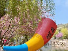 -石岛赤山风景区