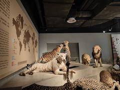 -上海自然博物馆
