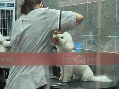 -宠物家(大兴旧宫店)