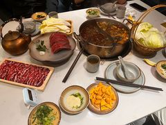 -菌子鲜汤野生菌锅