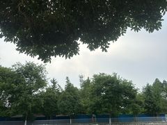 -海豚湾梦幻水上乐园