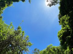 -海口火山口国家地质公园