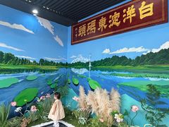 -白洋淀景区