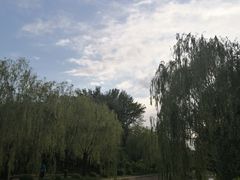 -元大都城垣遗址公园