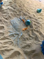 点击看大图 -恐龙探索乐园(磁器口店)