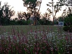 -金鸡湖景区