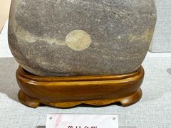 -安徽省地质博物馆