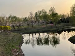 -东郊湿地公园