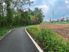 -桤木河湿地公园