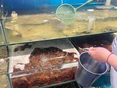 -仙螺岛海鲜自助餐厅(总店)
