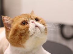 -星巴克(成都太古里二店)