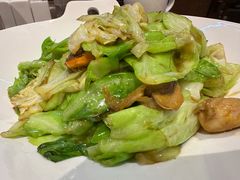 -大连金石滩绿发温泉假日酒店