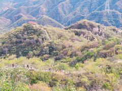 -大岭沟猕猴桃谷风景区
