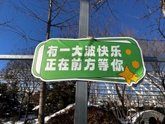 -南宫五洲植物乐园