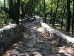 -阳台山自然风景区