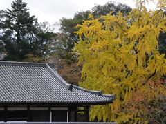 -奈良公园
