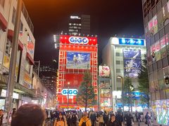 -秋叶原电器街