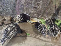 -青青世界