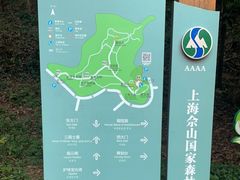 -上海佘山国家森林公园天马山园
