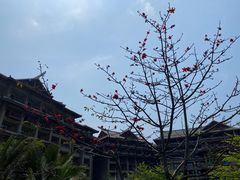 -海口万豪·大堂吧·望海吧.日落海景·下午茶·奶茶·咖啡·轻食·蛋糕·鸡尾酒·清吧