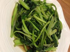 -山楂树融合菜餐厅