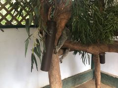 -费瑟代尔野生动物园