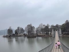 -东湖落雁景区