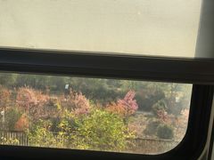 -建坤水席宫·洛阳菜(中州路店)