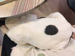 -柯斗斗主题餐厅·狗咖·围炉煮茶·茶饮(国瑞升平里店)