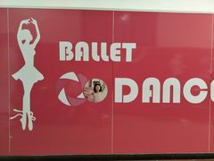 -陕西省小天鹅艺术团