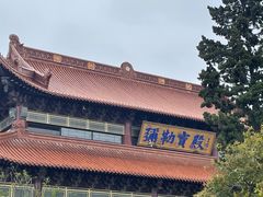 -高旻寺