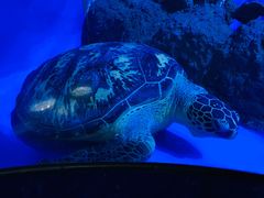 -成都浩海立方海洋公园