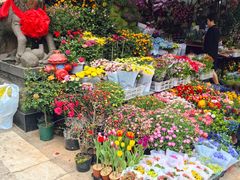 -溪岸路花鸟市场