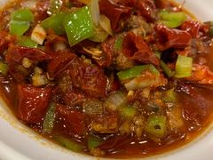 -巴依老爷新疆美食(望京小街店)