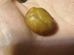 -粒上皇(崇文门店)
