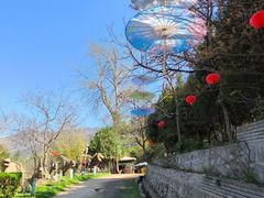 -盛世牡丹苑生态文化旅游区