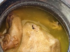 -崂山水果园农家宴(泉水鸡店)