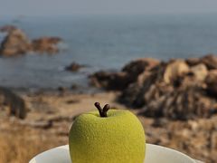 -致璞ZHIPU Rolling on(青岛极地店)