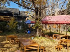 -腾冲国萍农家乐