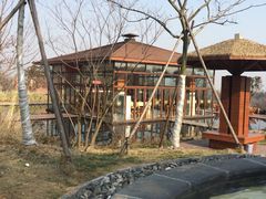 -东海森林温泉度假酒店