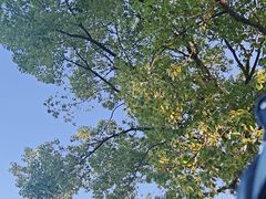 -共青国家森林公园-售票处