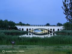 -南海子公园