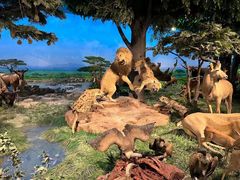 -国家自然博物馆