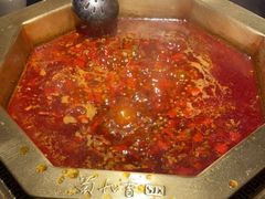 -蜀九香火锅(彩虹店)