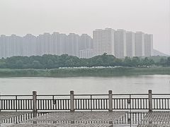 -洋湖国家湿地公园