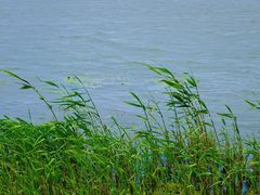 -长广溪湿地公园