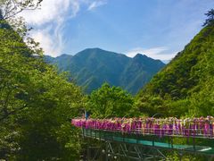 -浙北大峡谷