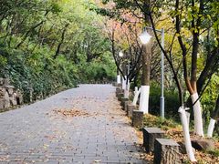 -峙山公园
