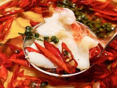 东星斑-明州小宴(文化广场店)