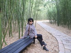 -同里国家湿地公园